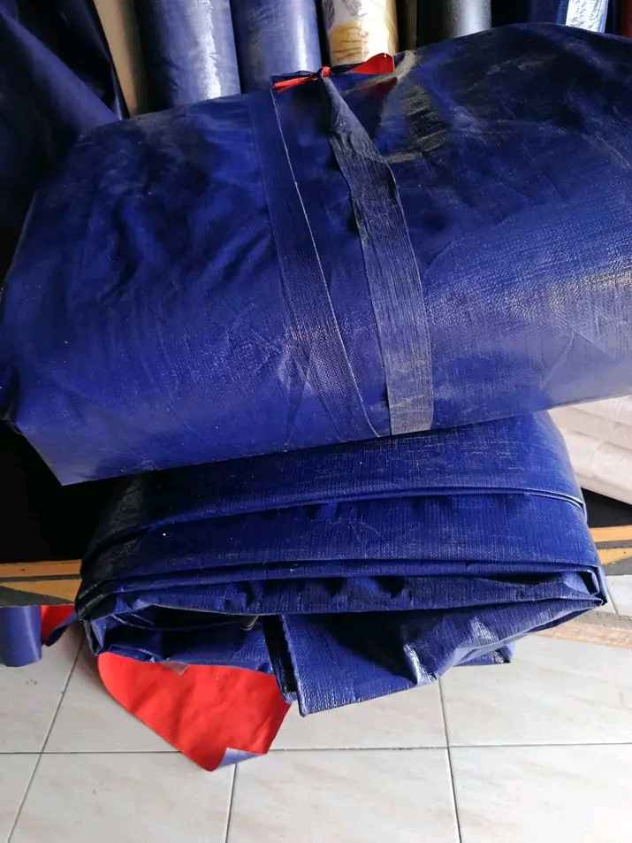 Kolam Terpal A12 Korea